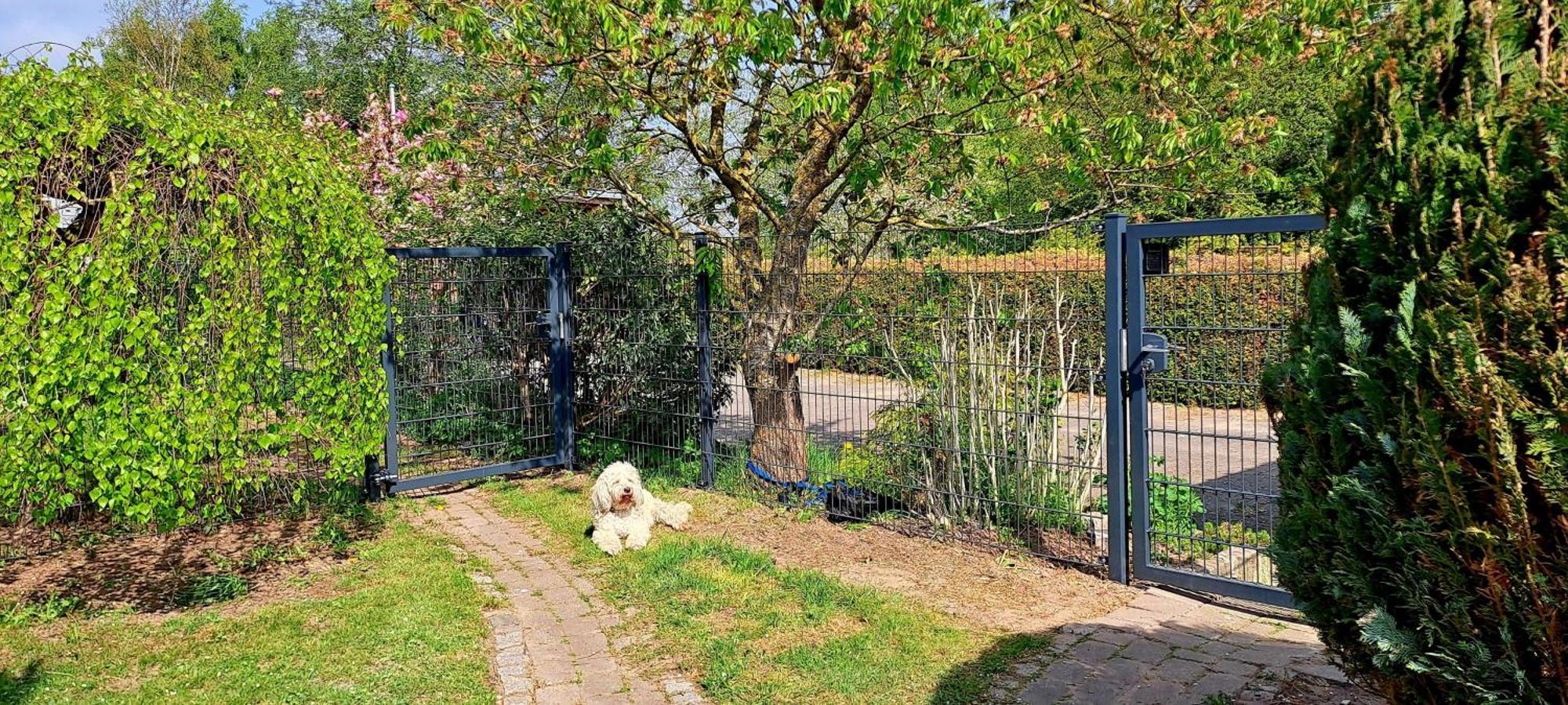 Fewo Sonne Rovershagen Exterior photo
